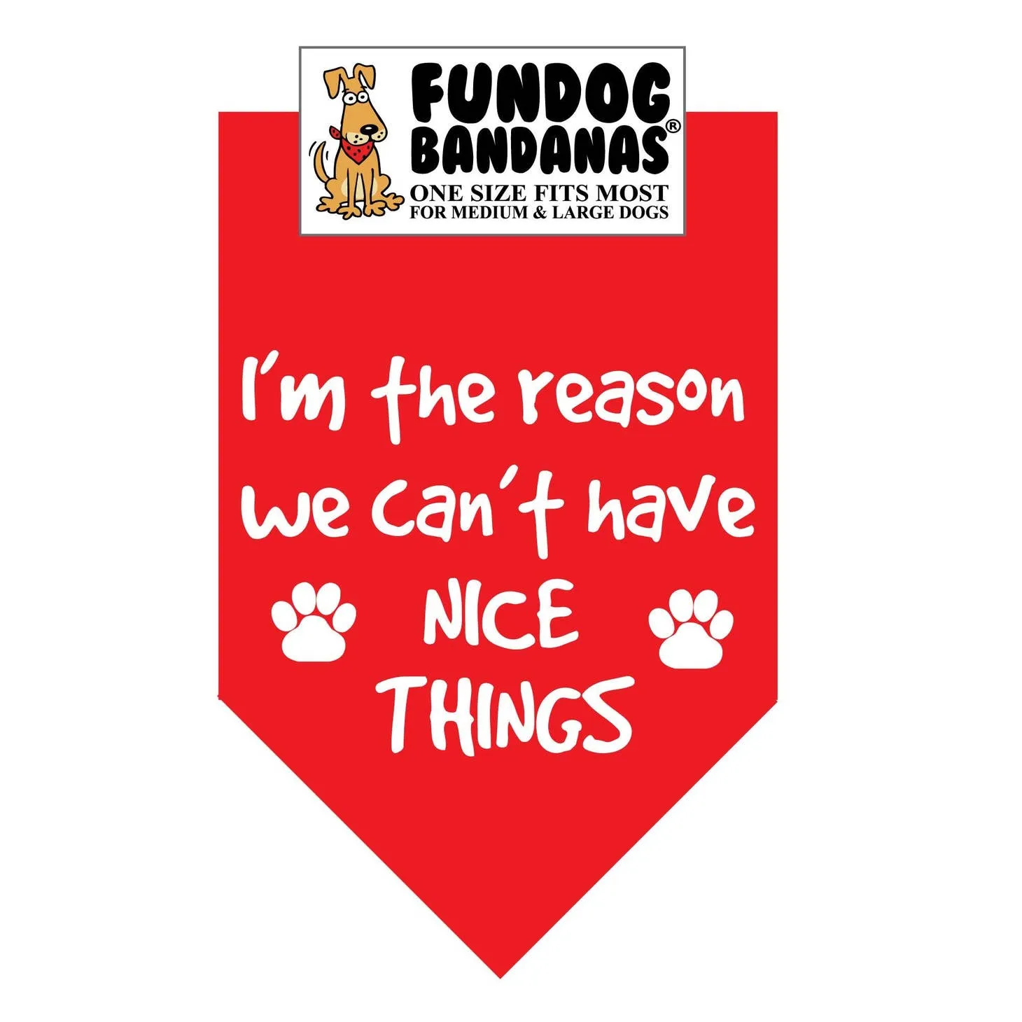 I'M the Reason We Can't Have Nice Things-Made in USA