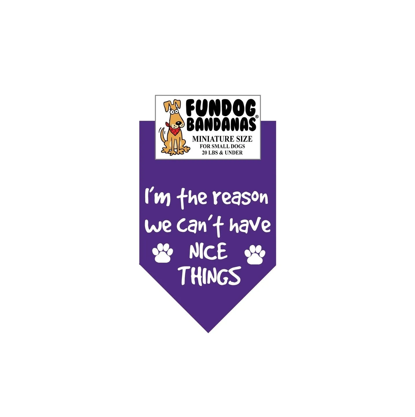 I'M the Reason We Can't Have Nice Things-Made in USA