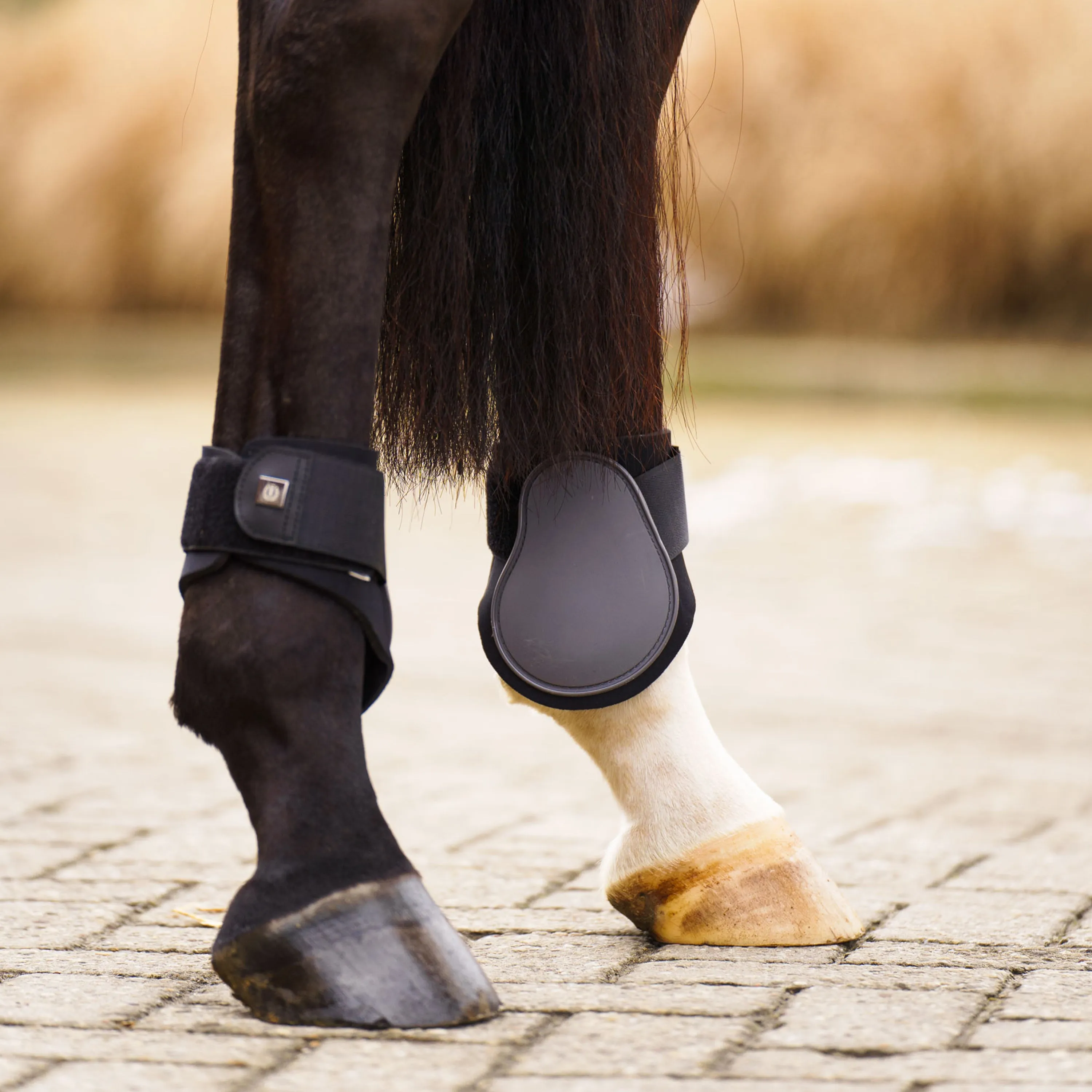 Imperial Riding Lovely Fetlock Boots