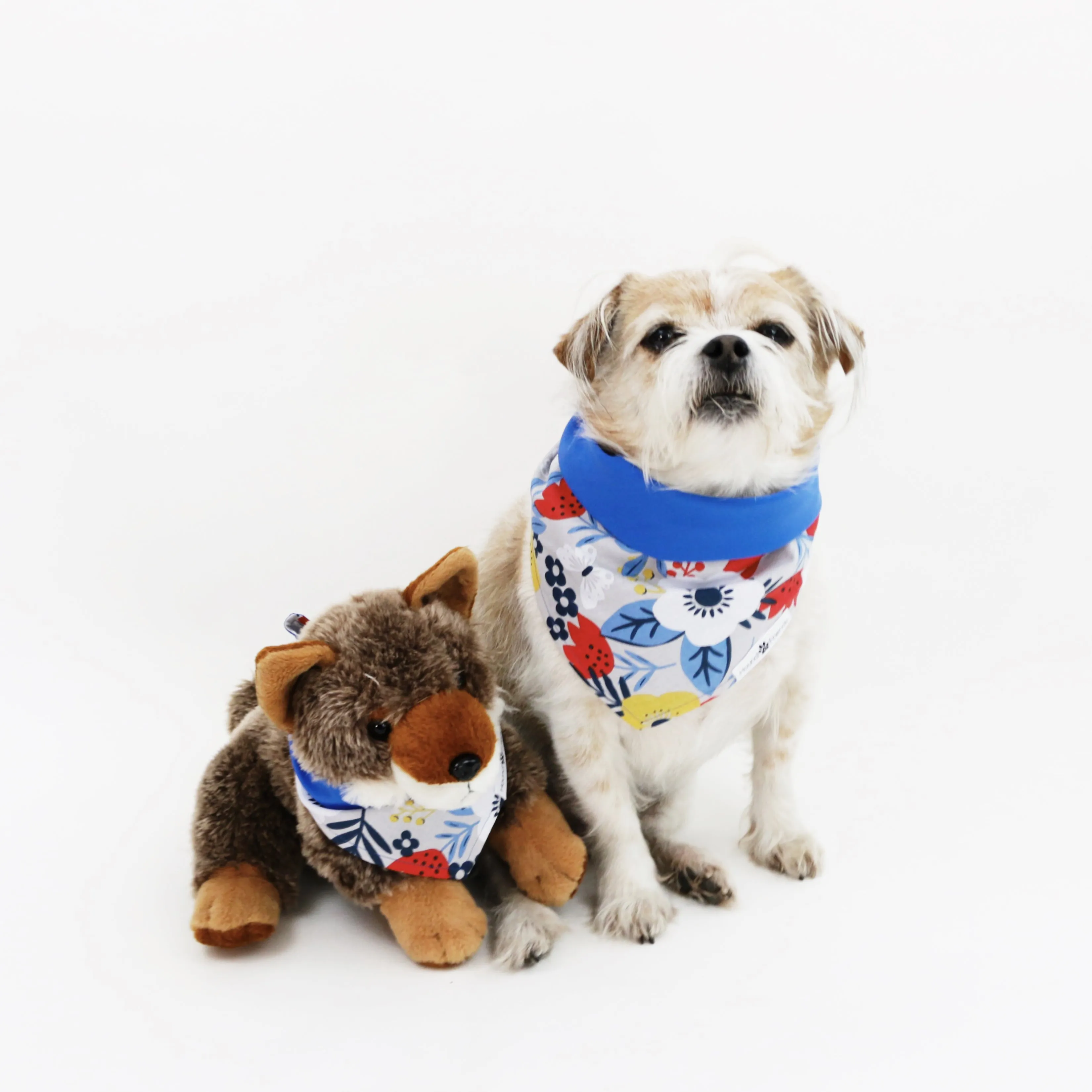 Jack Reversible Bandana