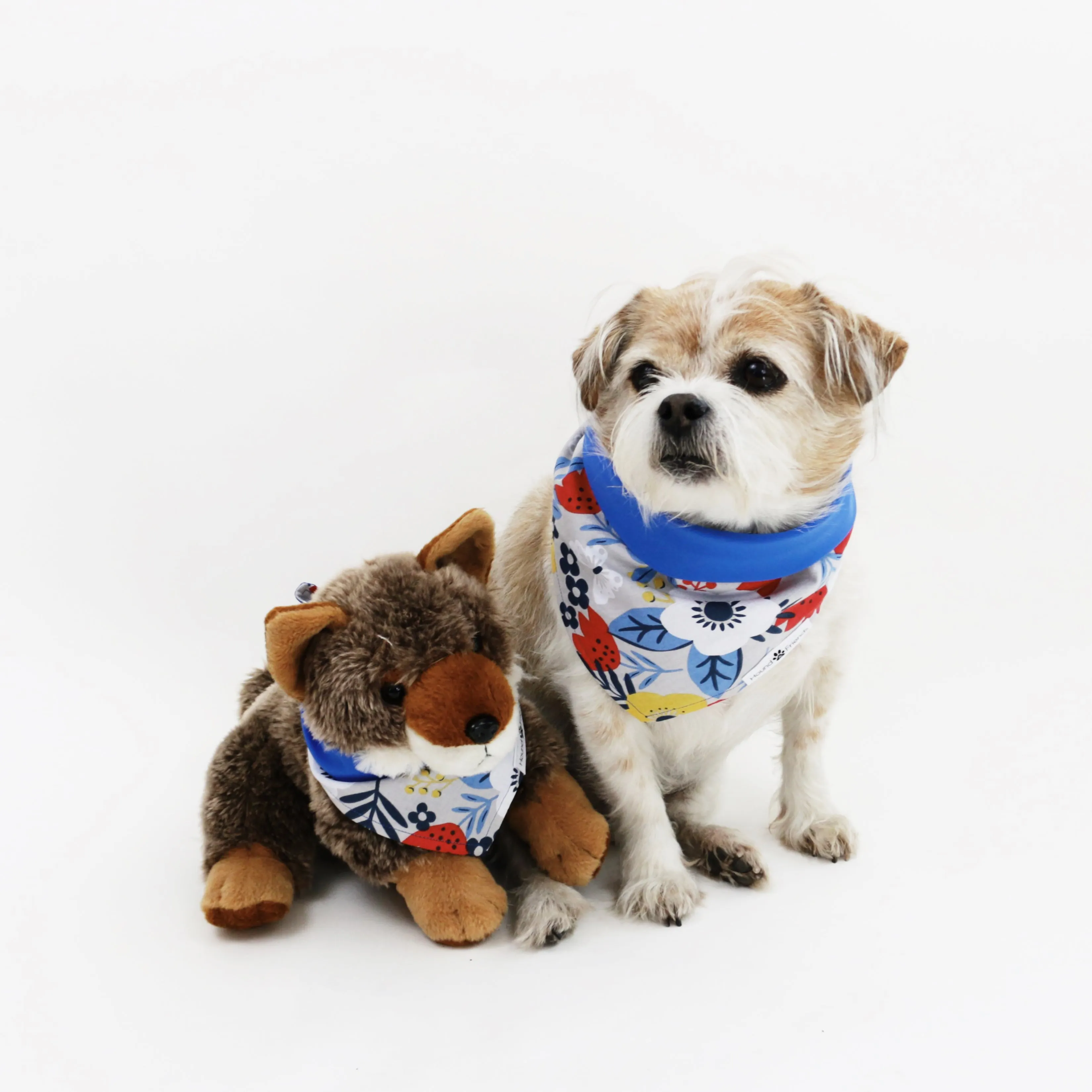 Jack Reversible Bandana