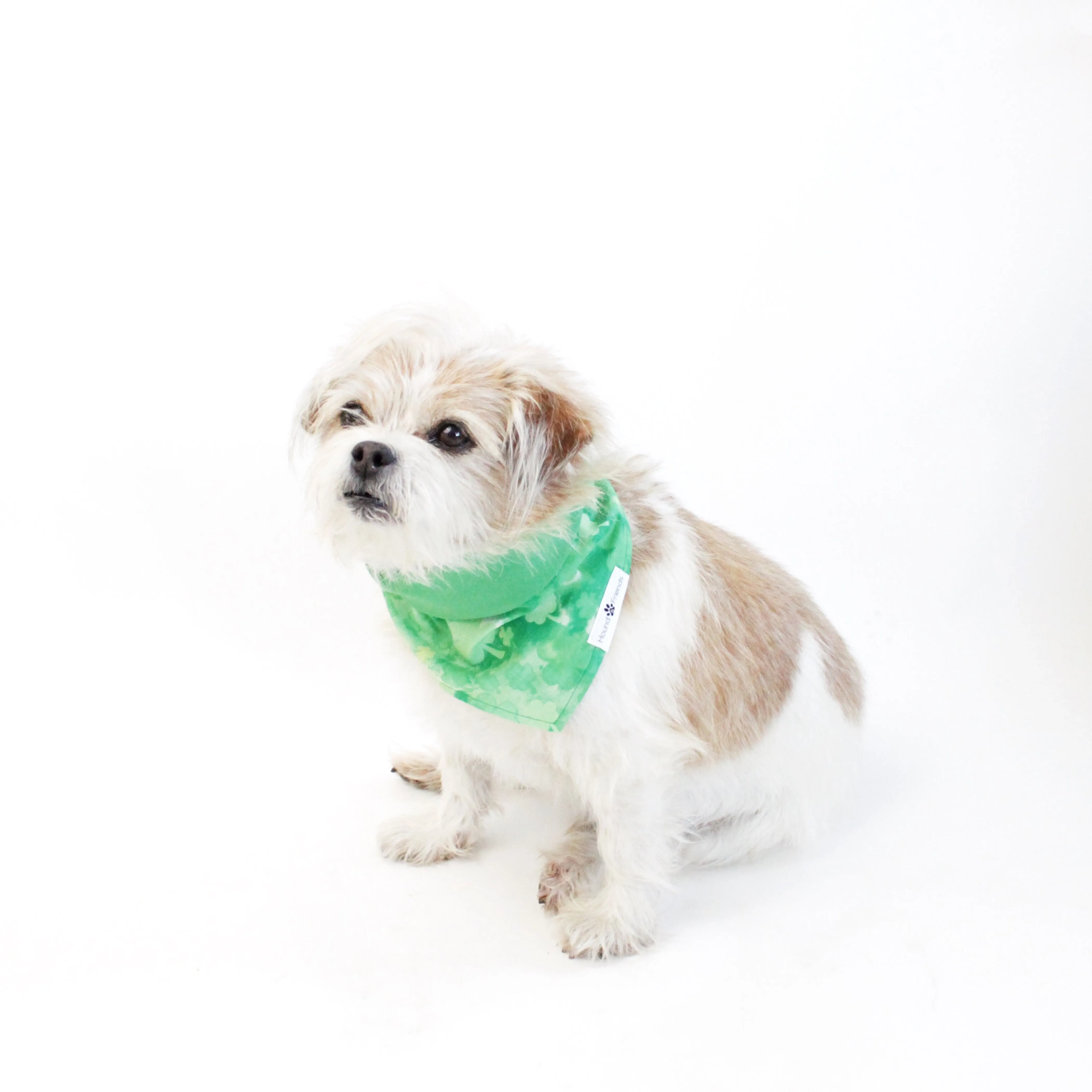 Jade Reversible Bandana