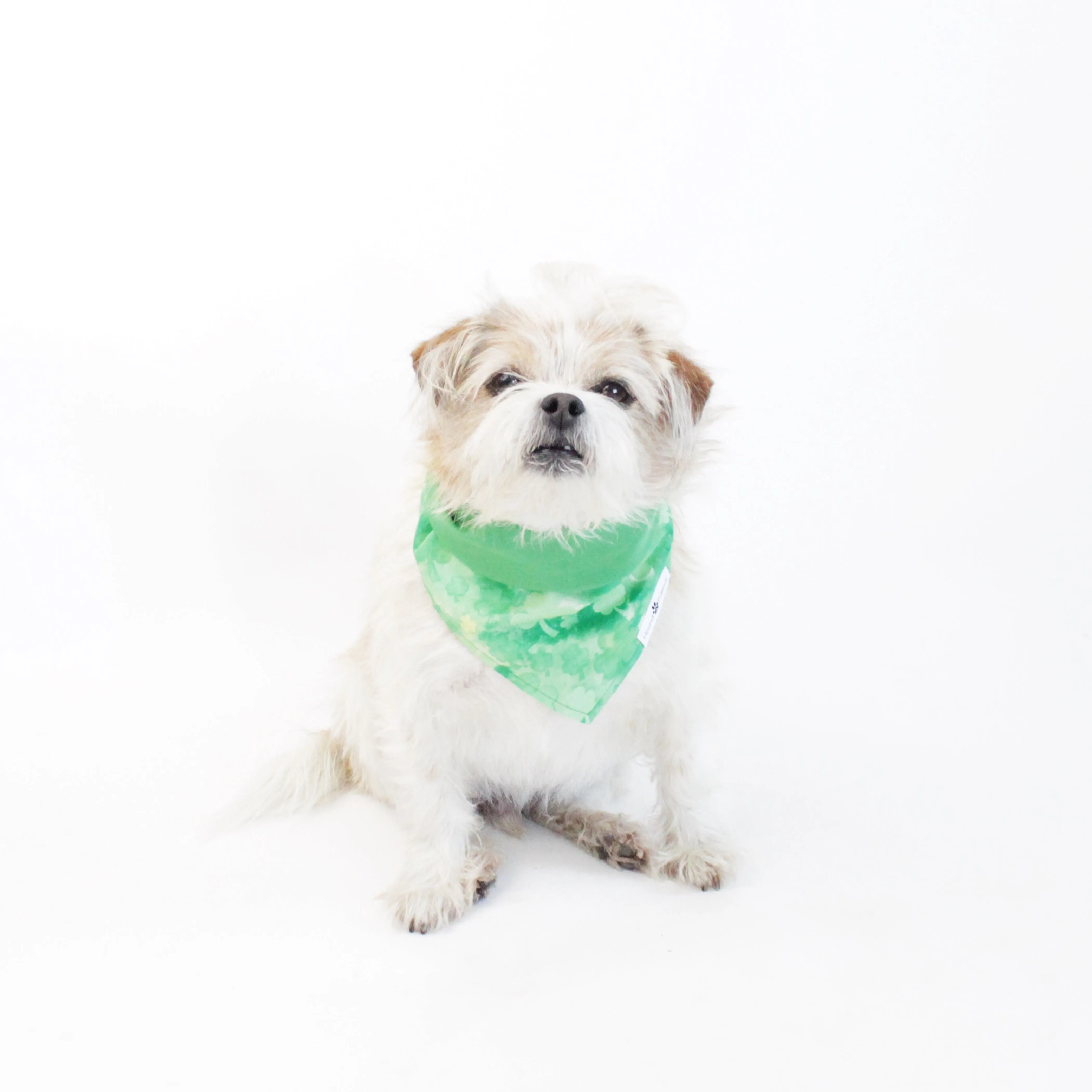 Jade Reversible Bandana
