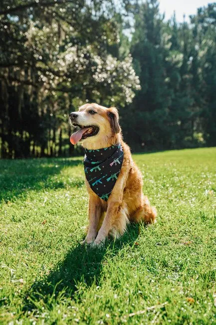 K9 Bandanas