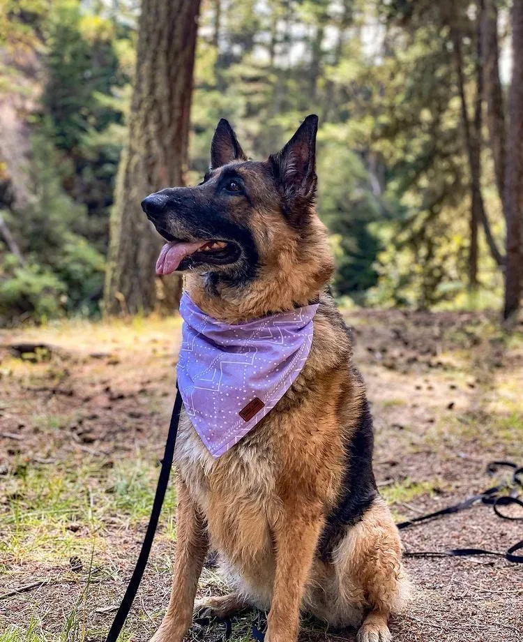 Lilac Geo Mountains - Pet Bandana