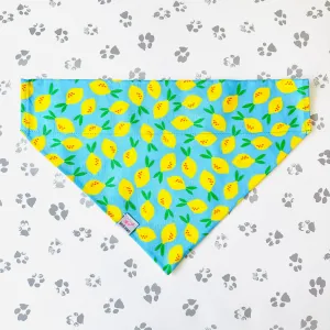 Lovely Lemons Bandana