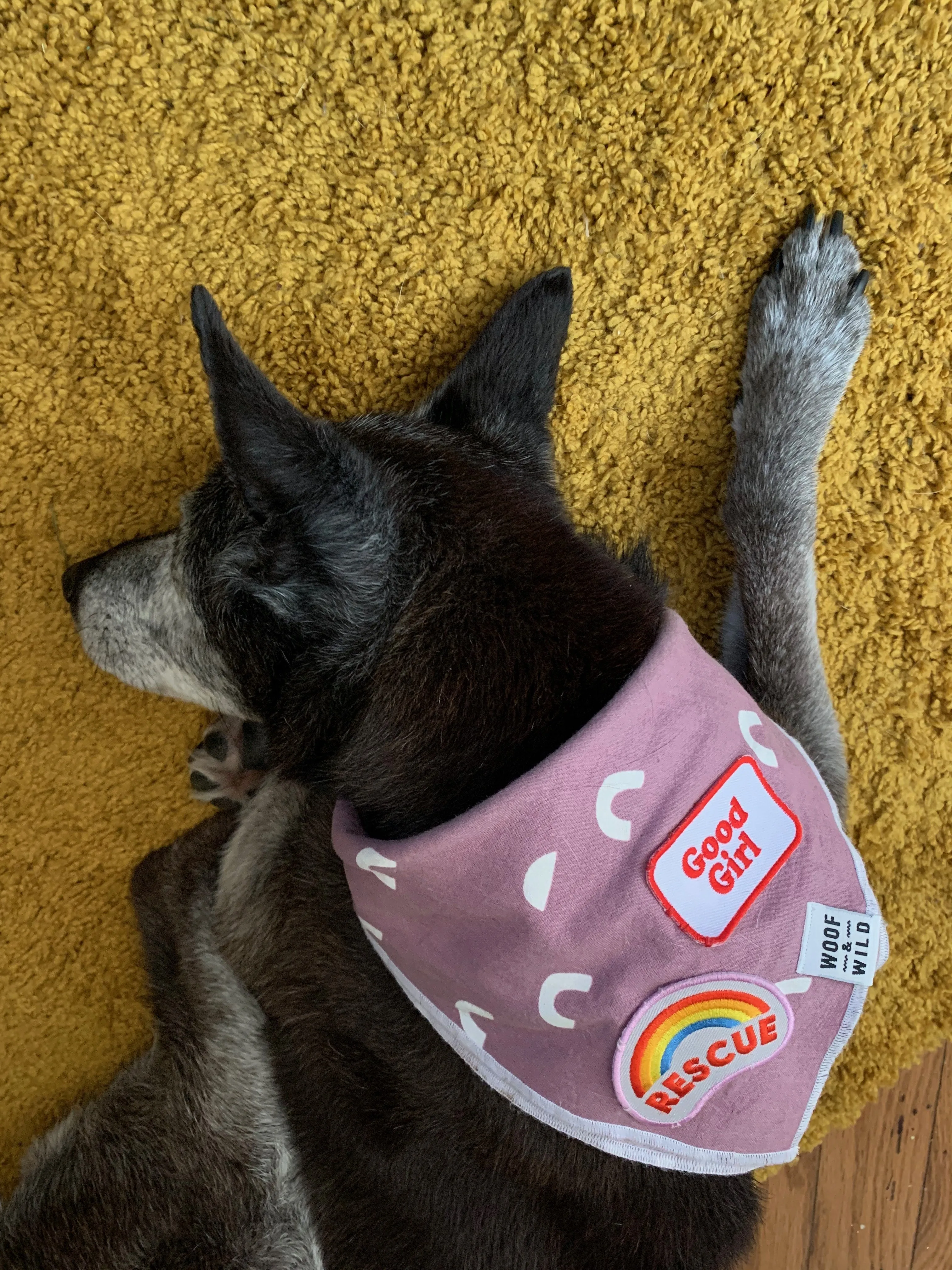 Luna Bandana