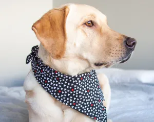 Mad Love Dog Bandana