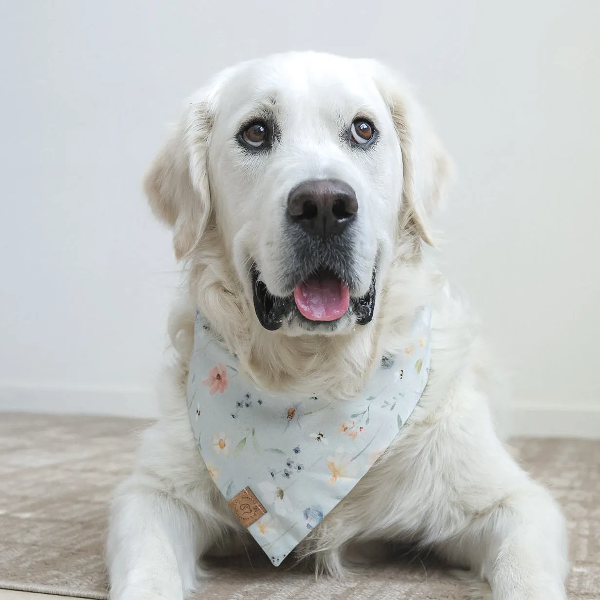 Meadow Breeze Bandana