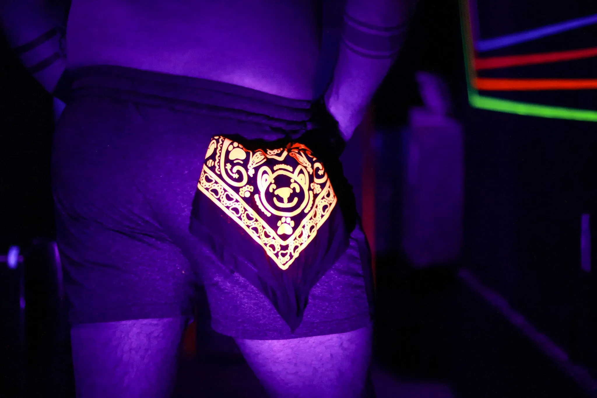 Neon Zoo Bandana
