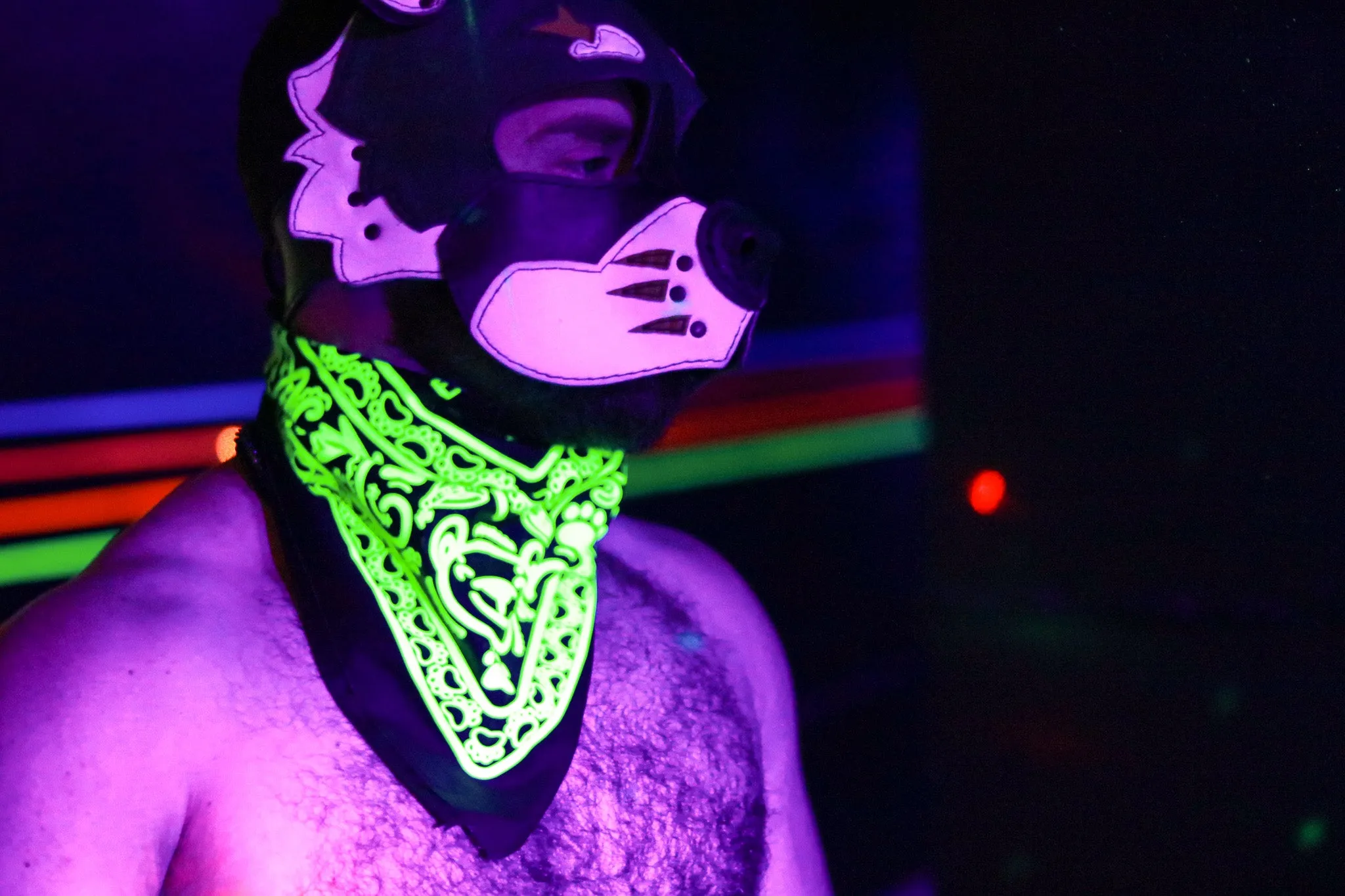 Neon Zoo Bandana