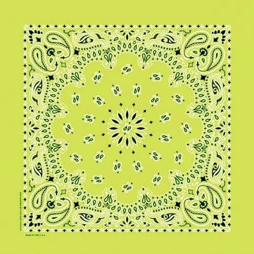 NT4410 Bandana Paisley Lime