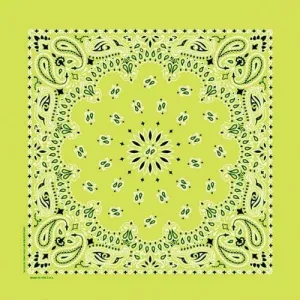 NT4410 Bandana Paisley Lime