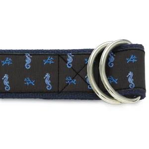 Ocean Rider - D-Ring Belts