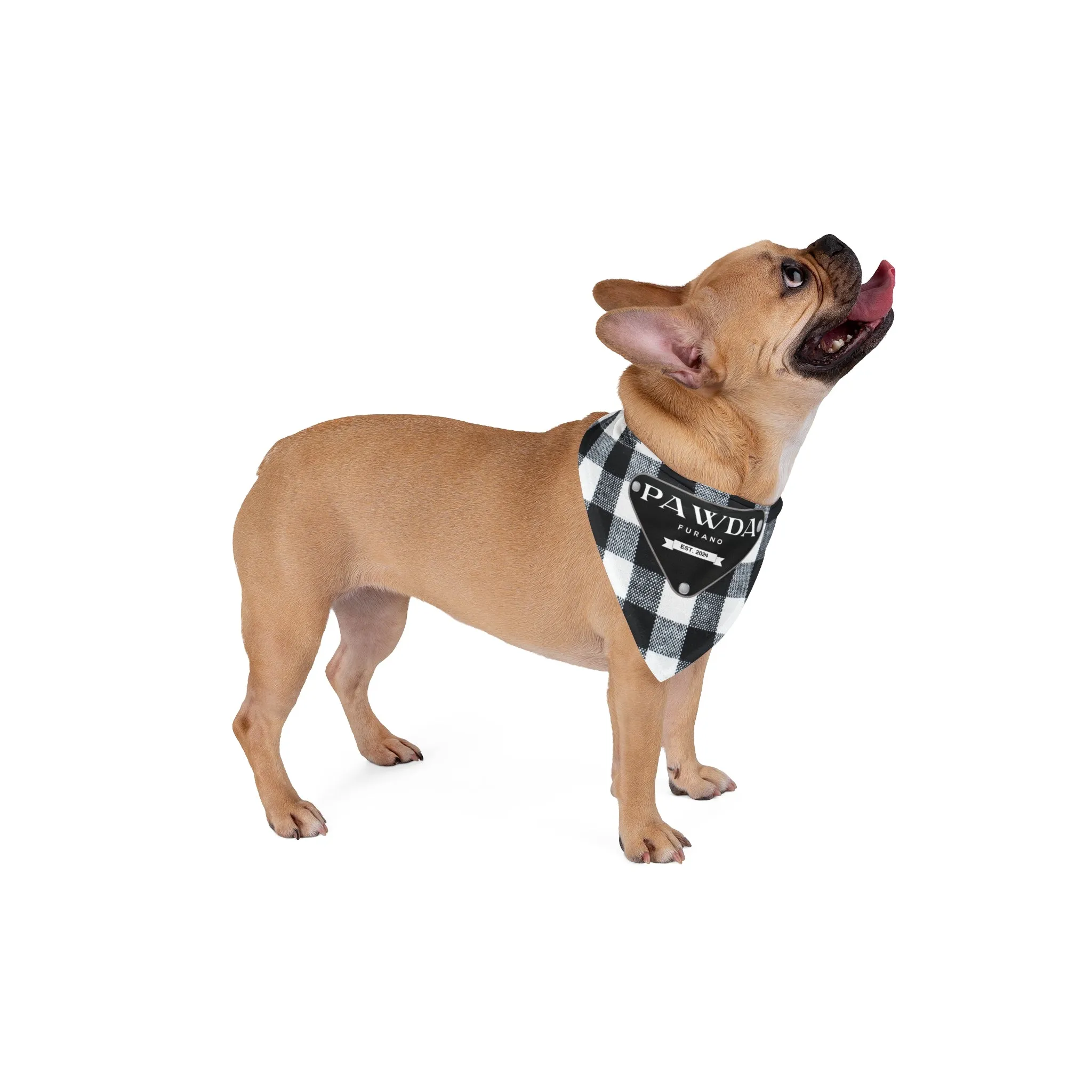 Pawda Pet Bandana