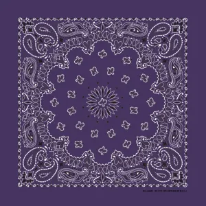 Plum Paisley Bandana