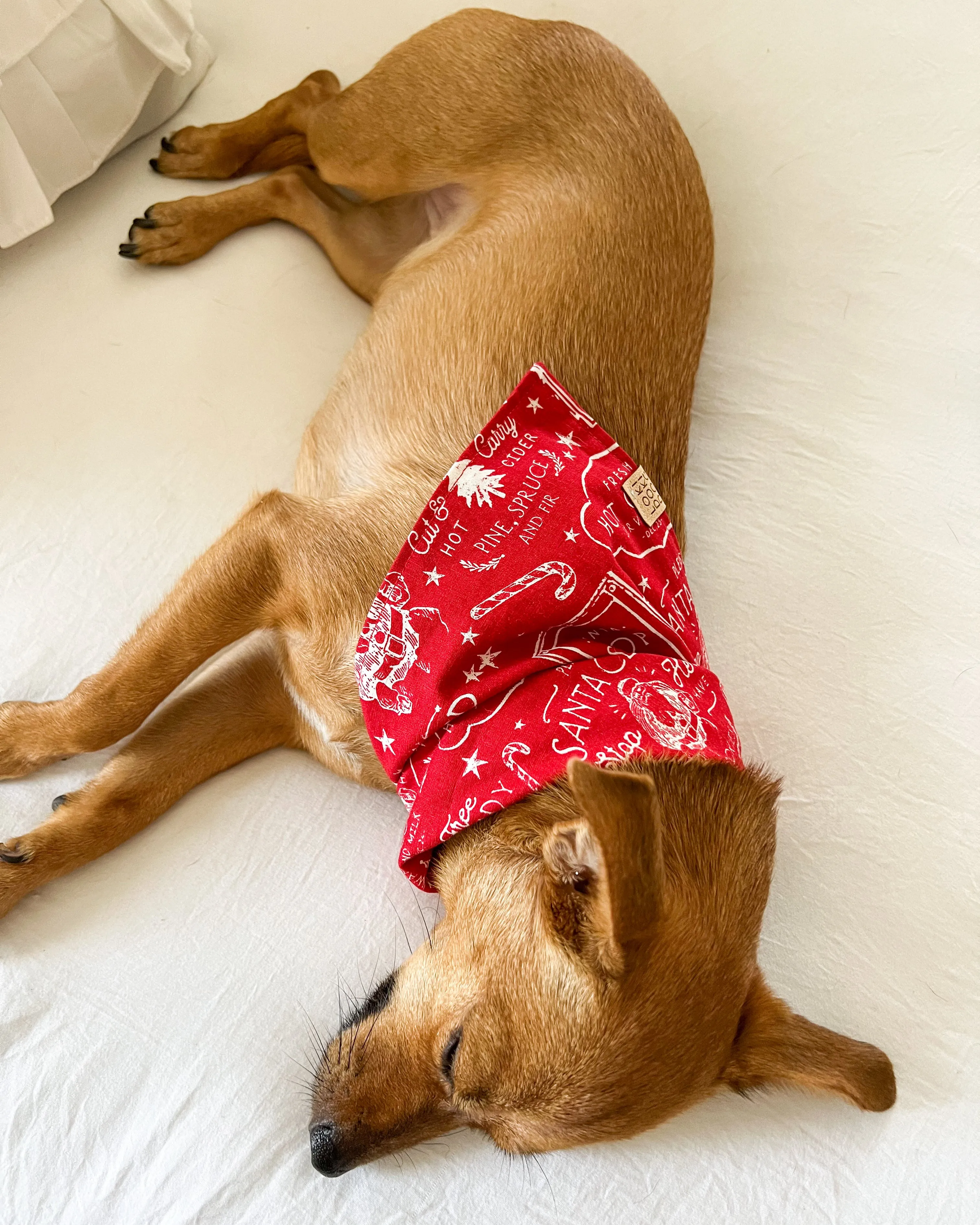 Red Vintage Holiday Dog Bandana