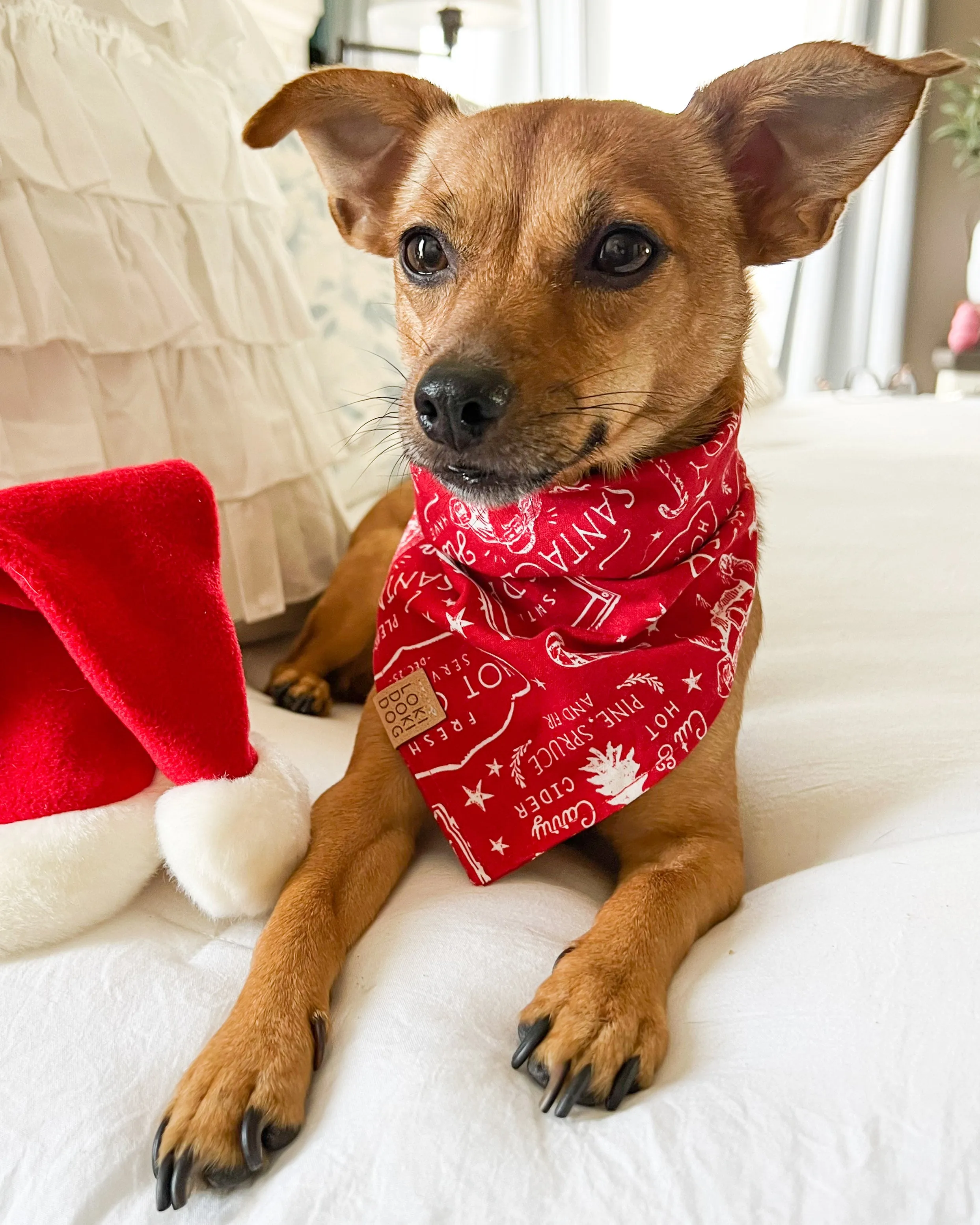 Red Vintage Holiday Dog Bandana