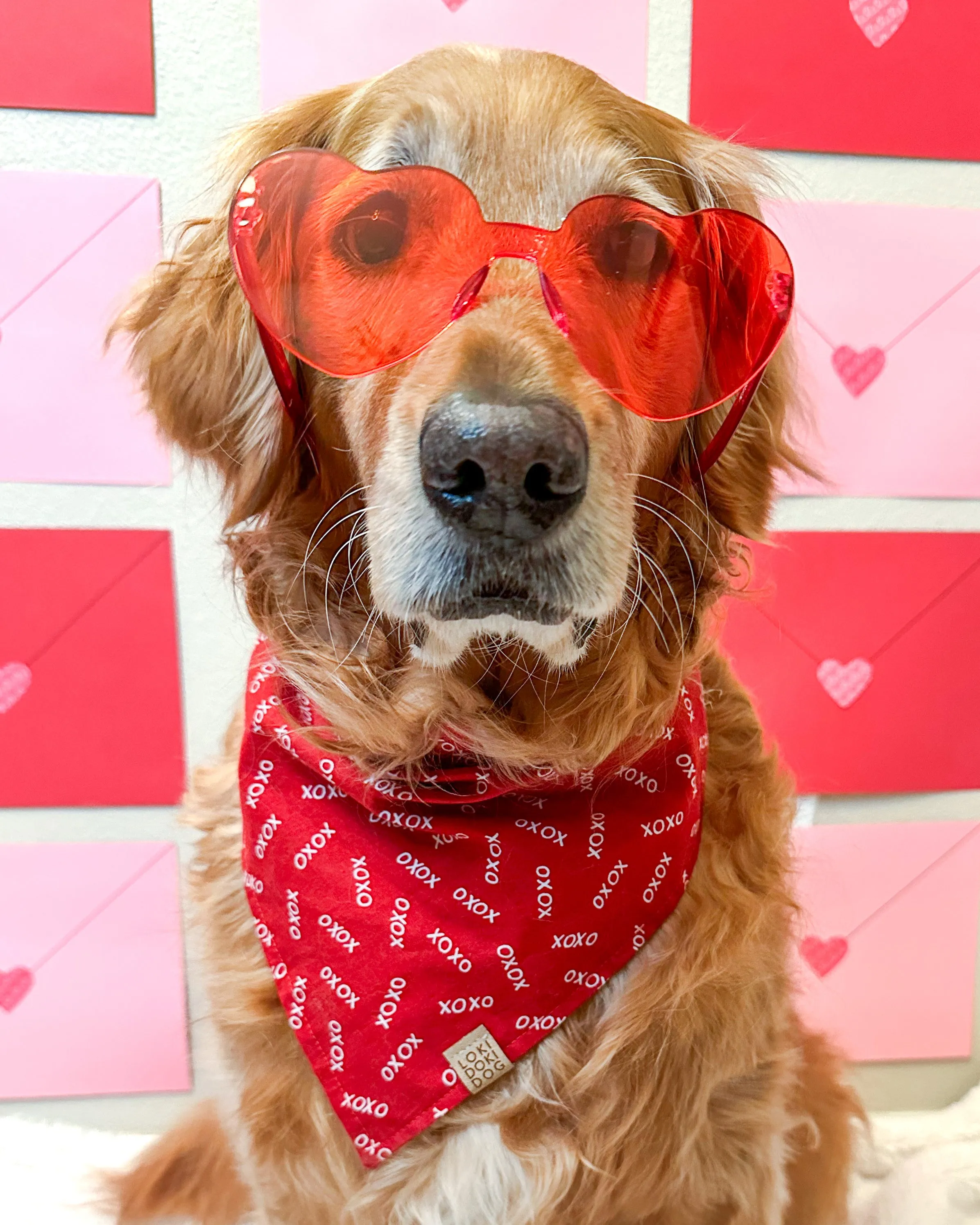 Red XOXO Dog Bandana