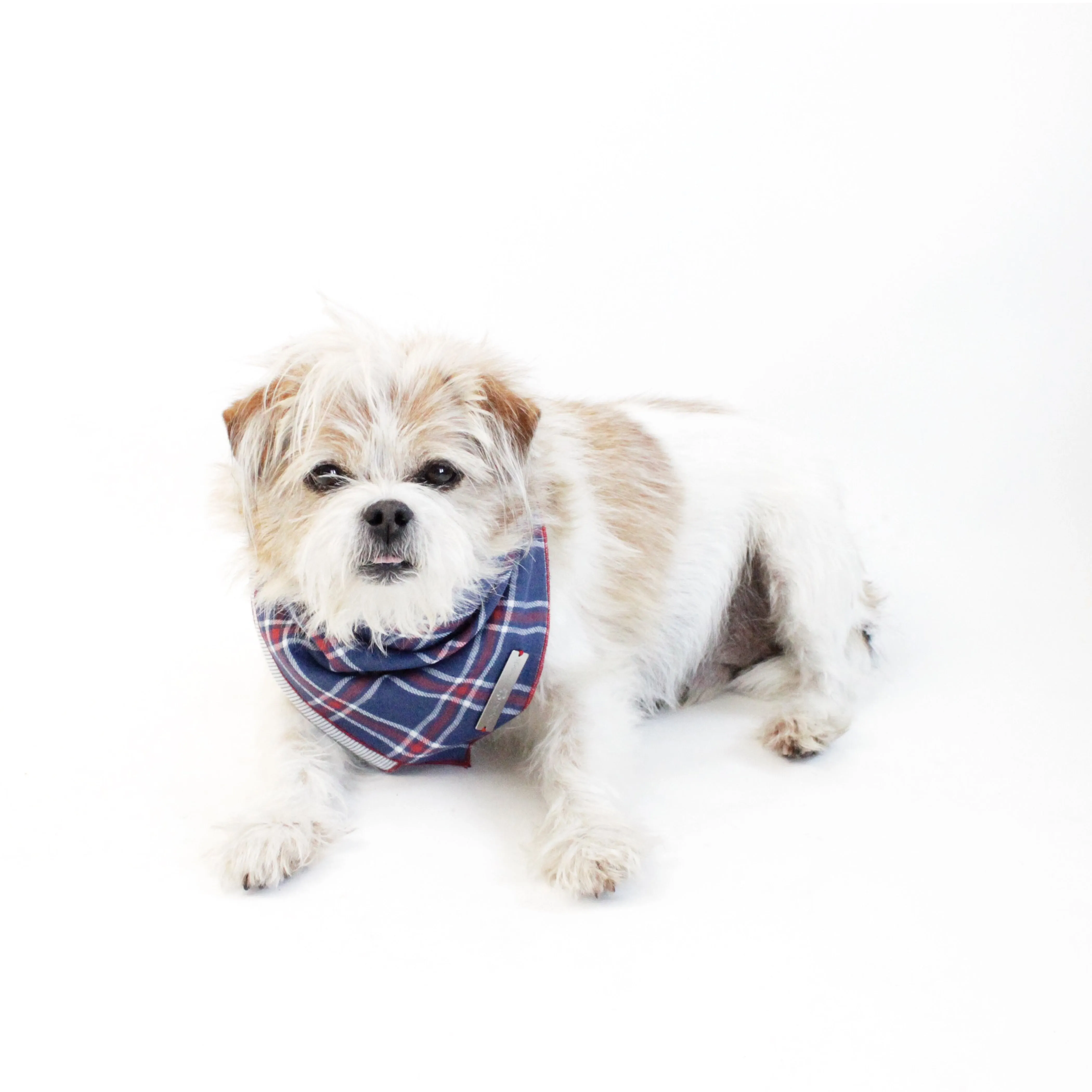 Stinger Reversible Scarf Bandana