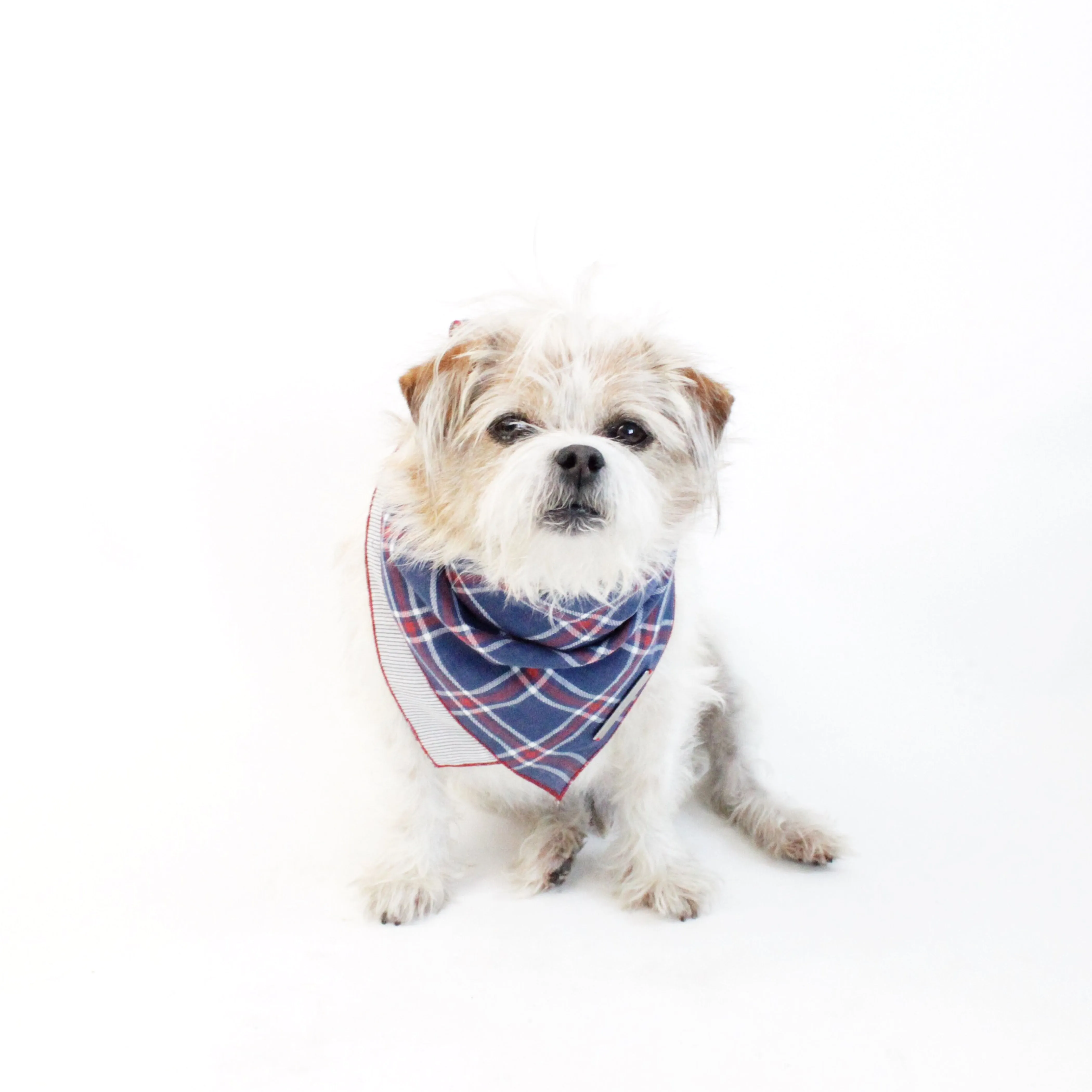 Stinger Reversible Scarf Bandana