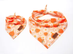Strawberries & Daisies Pink - Pet Bandana