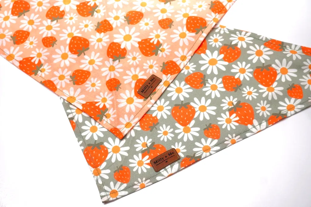 Strawberries & Daisies Pink - Pet Bandana