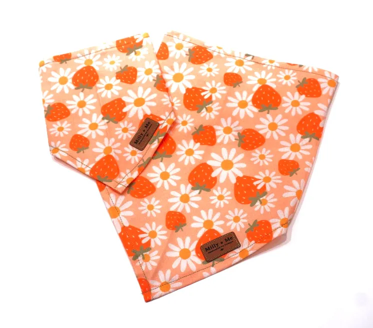 Strawberries & Daisies Pink - Pet Bandana