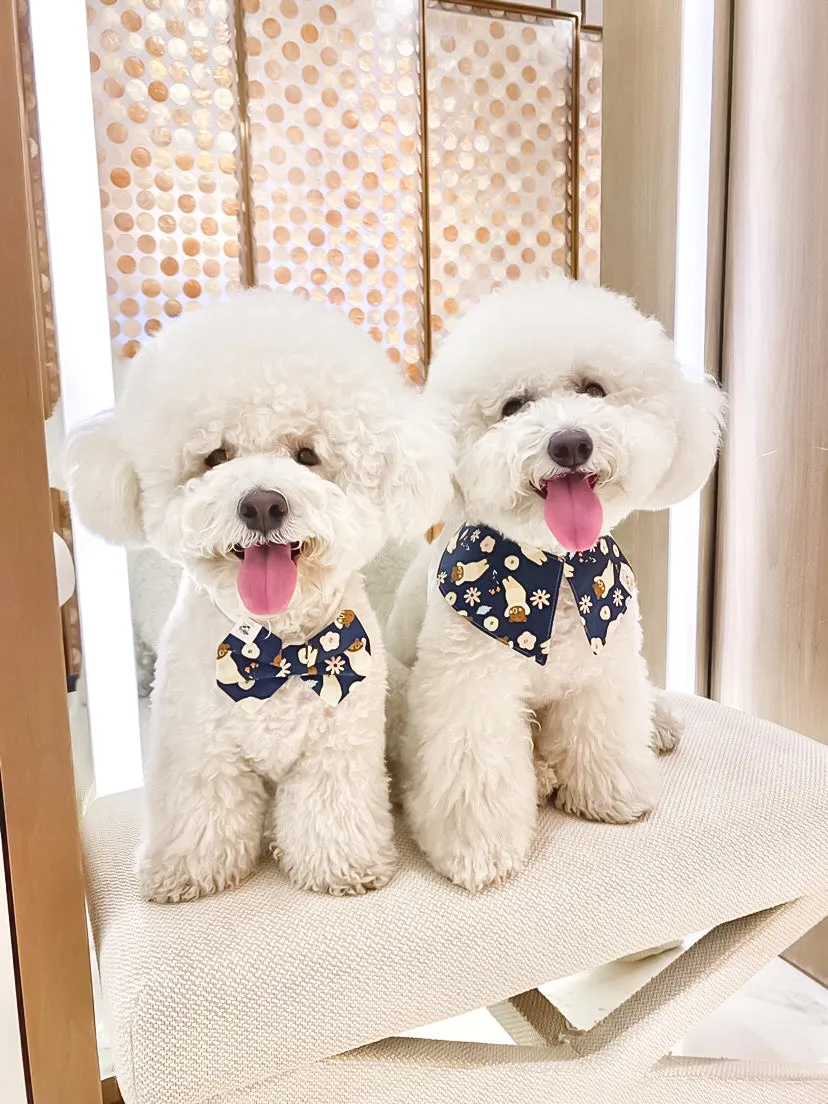 Teddy Dreams Bandana