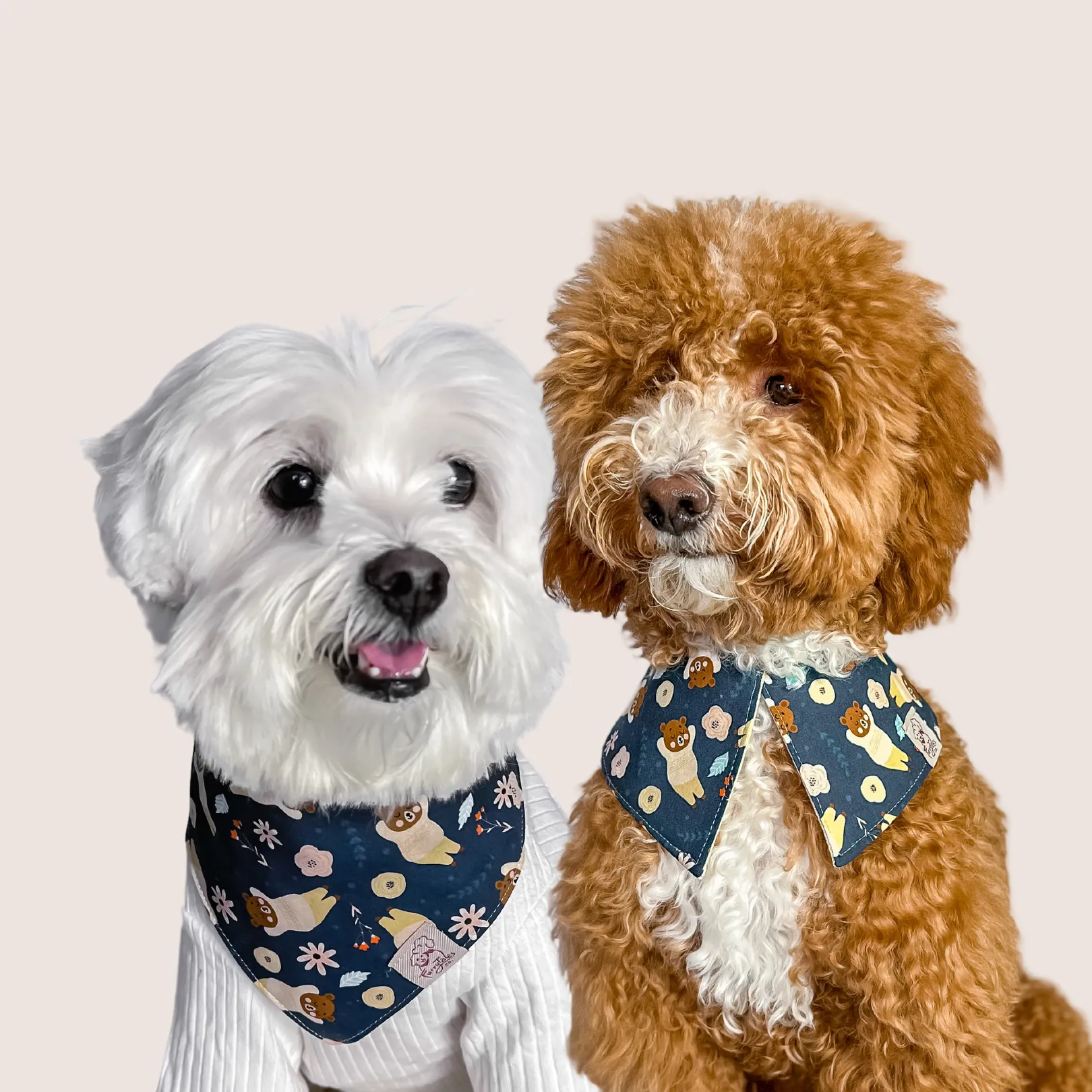 Teddy Dreams Bandana