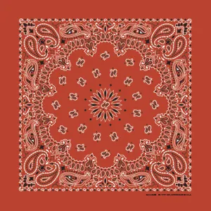 Terracotta Paisley Bandana