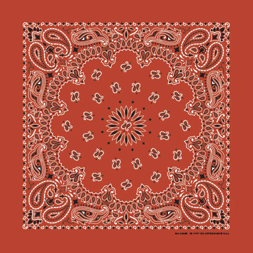 Terracotta Paisley Bandana