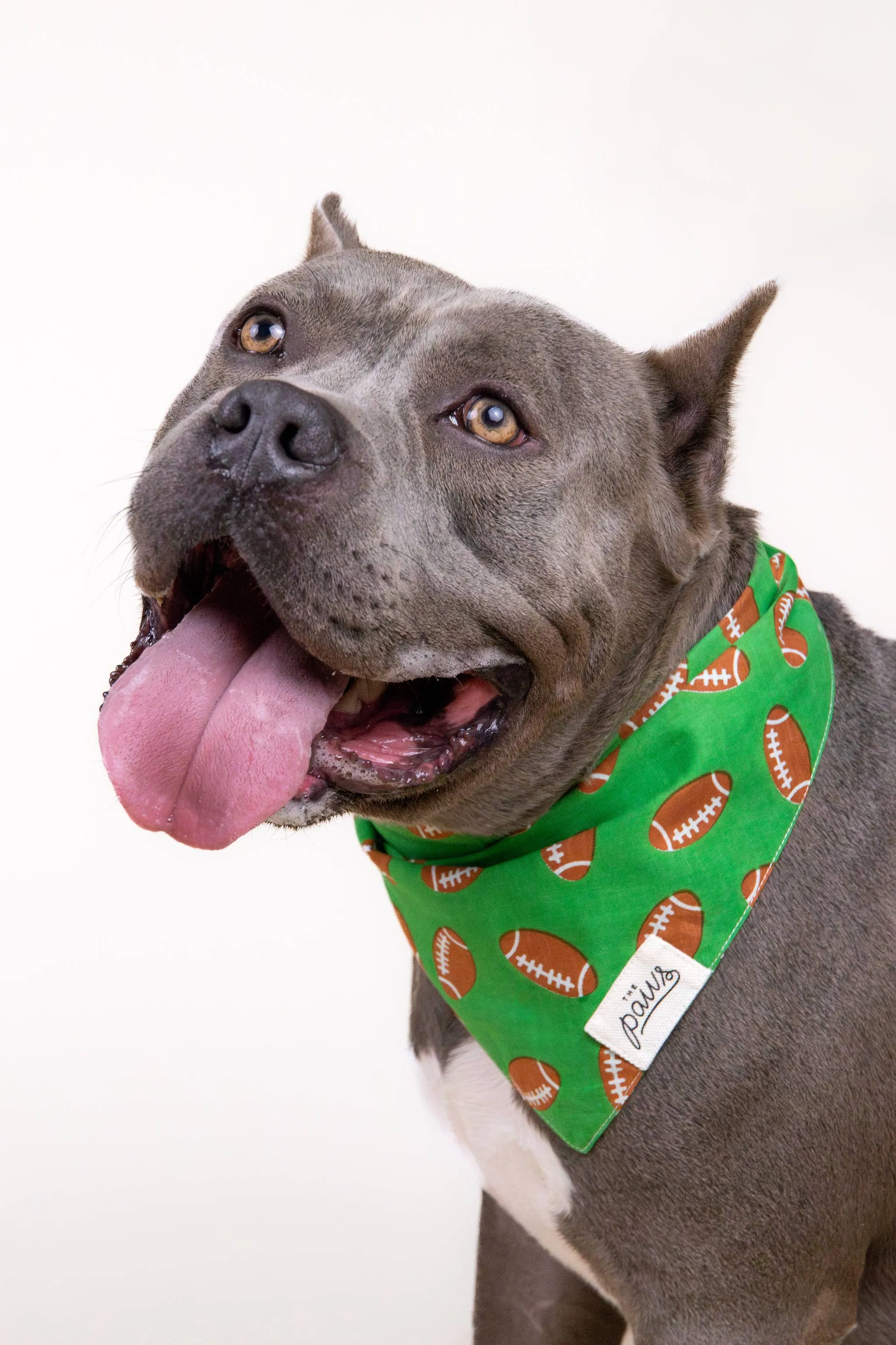 The Paws - Defender Football Dog Bandana