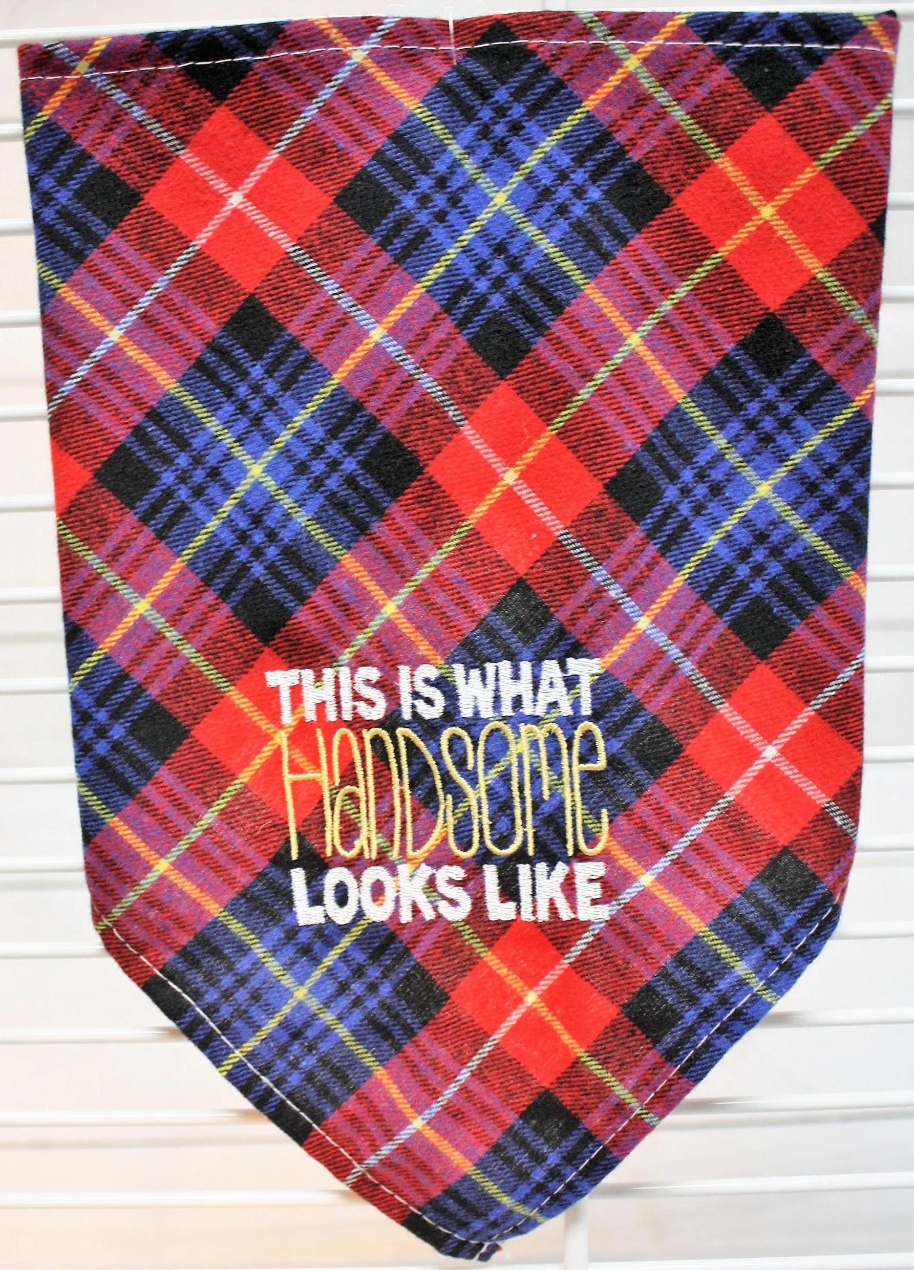 This is What Handsome Looks Like Tie Bandana