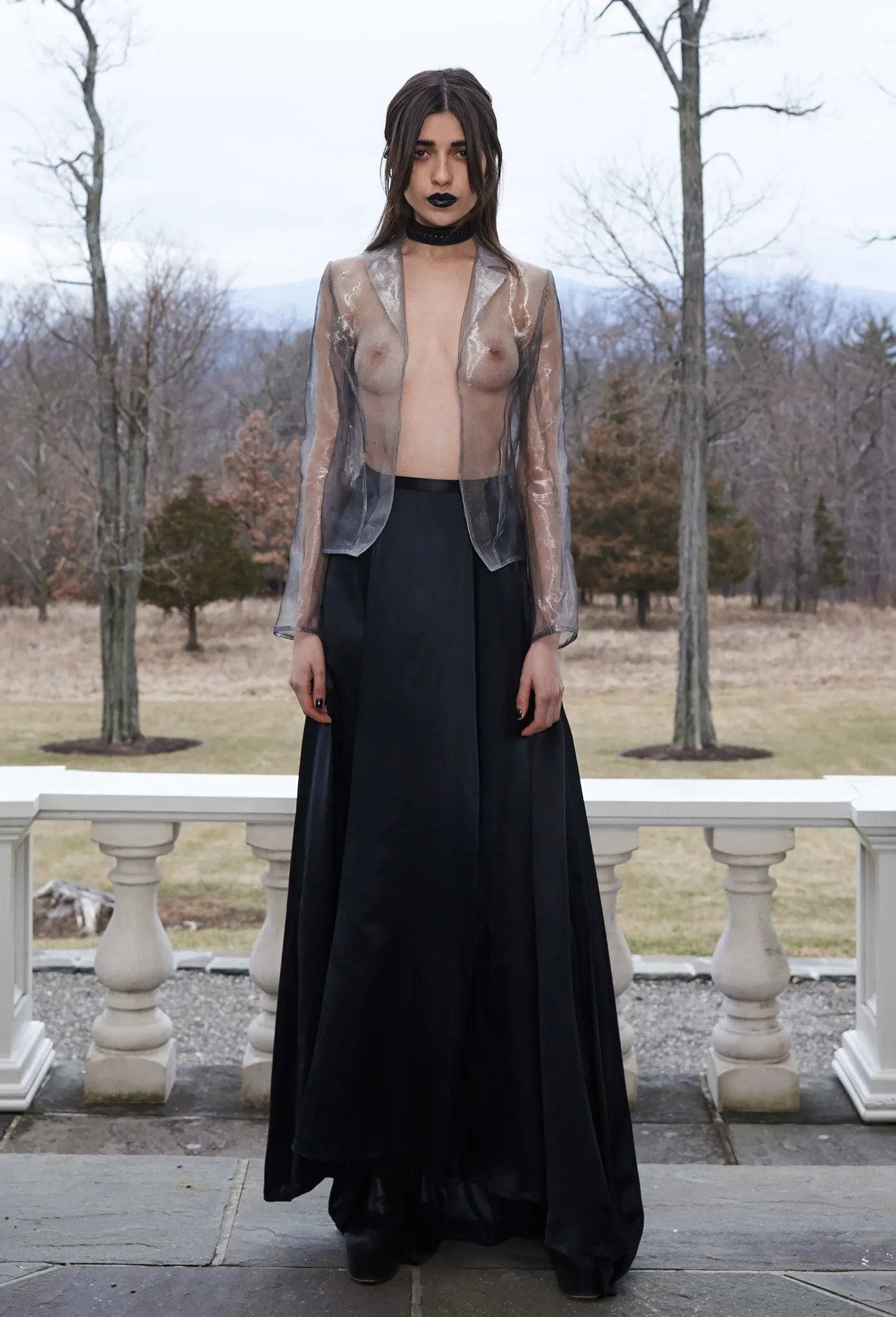 Transparent Blazer & Long Train Skirt
