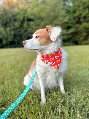 Travis Era (Fetch Mart’s Version) Bandana