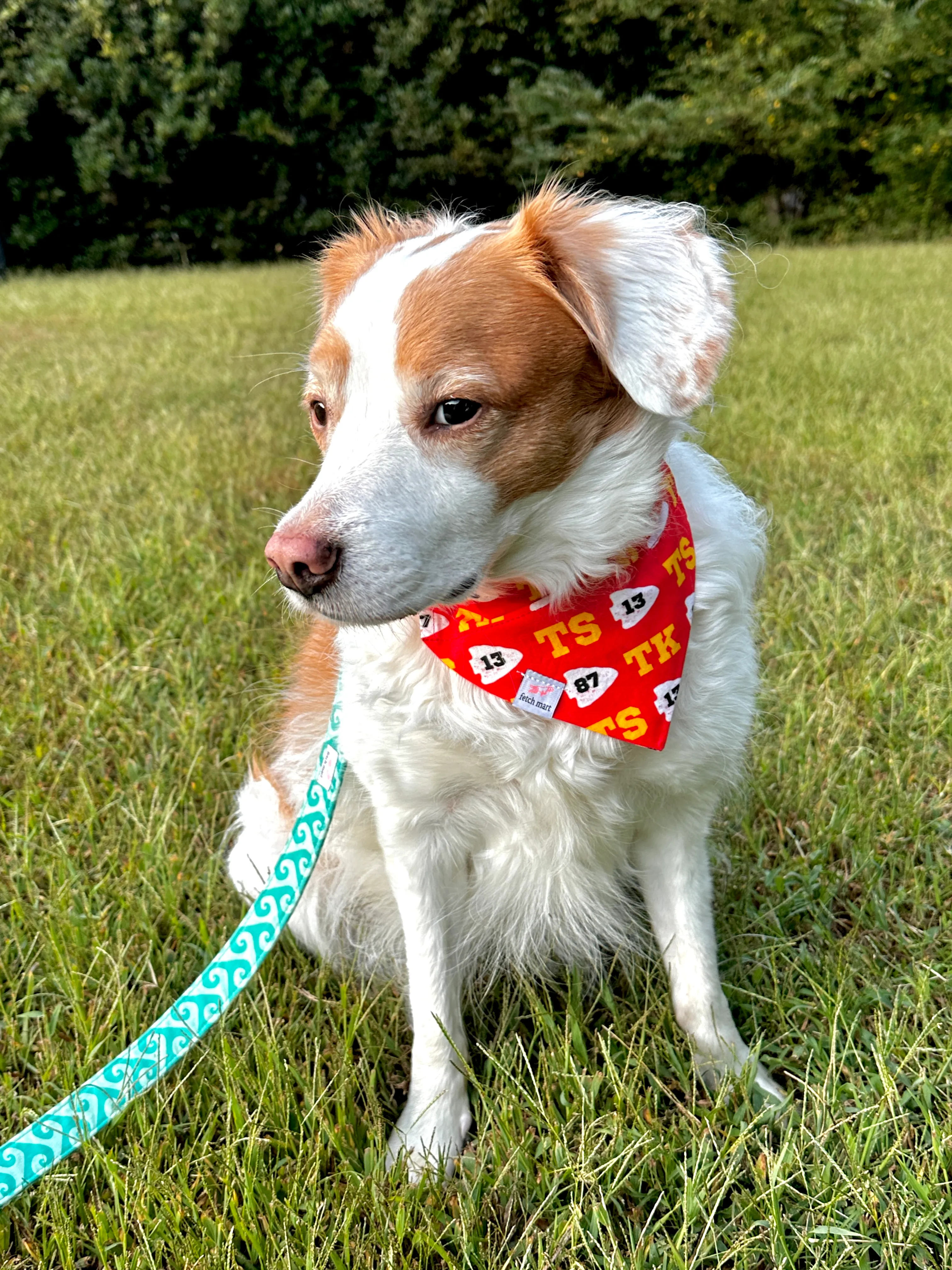 Travis Era (Fetch Mart’s Version) Bandana