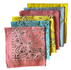 USA Made Paisley & Solid Pink, L Blue, Yellow 6pk 22" 100%Cotton