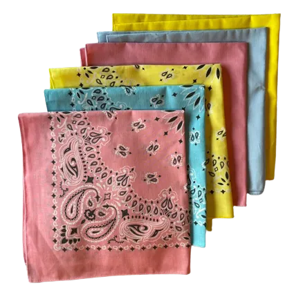 USA Made Paisley & Solid Pink, L Blue, Yellow 6pk 22" 100%Cotton