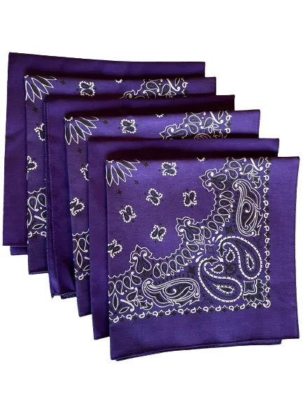 USA Made Paisley & Solid Purple Bandanas 6 Pk 22" 100% Cotton