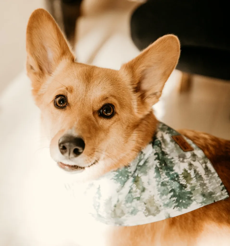 Watercolour Evergreen Trees - Pet Bandana