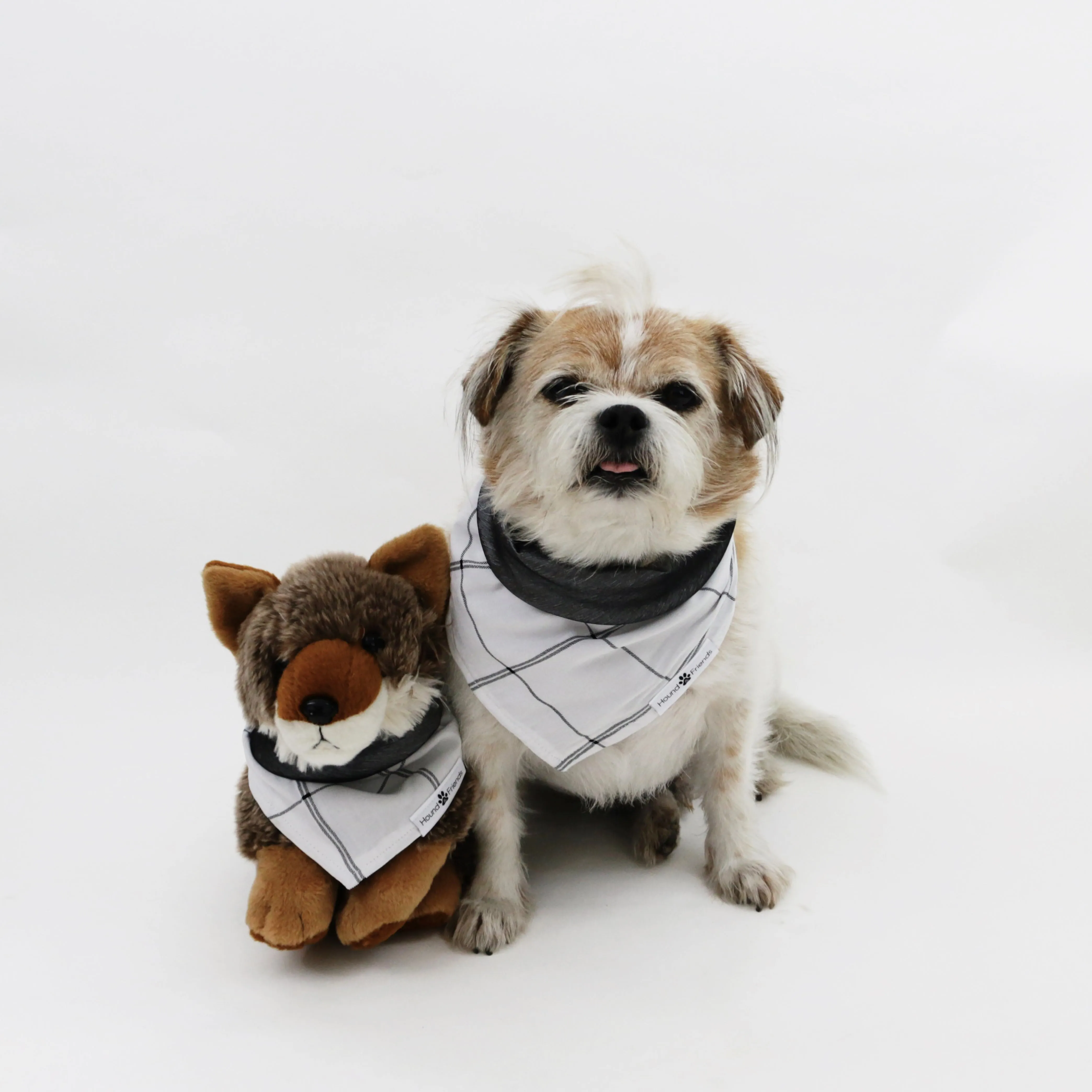 Willie Reversible Bandana