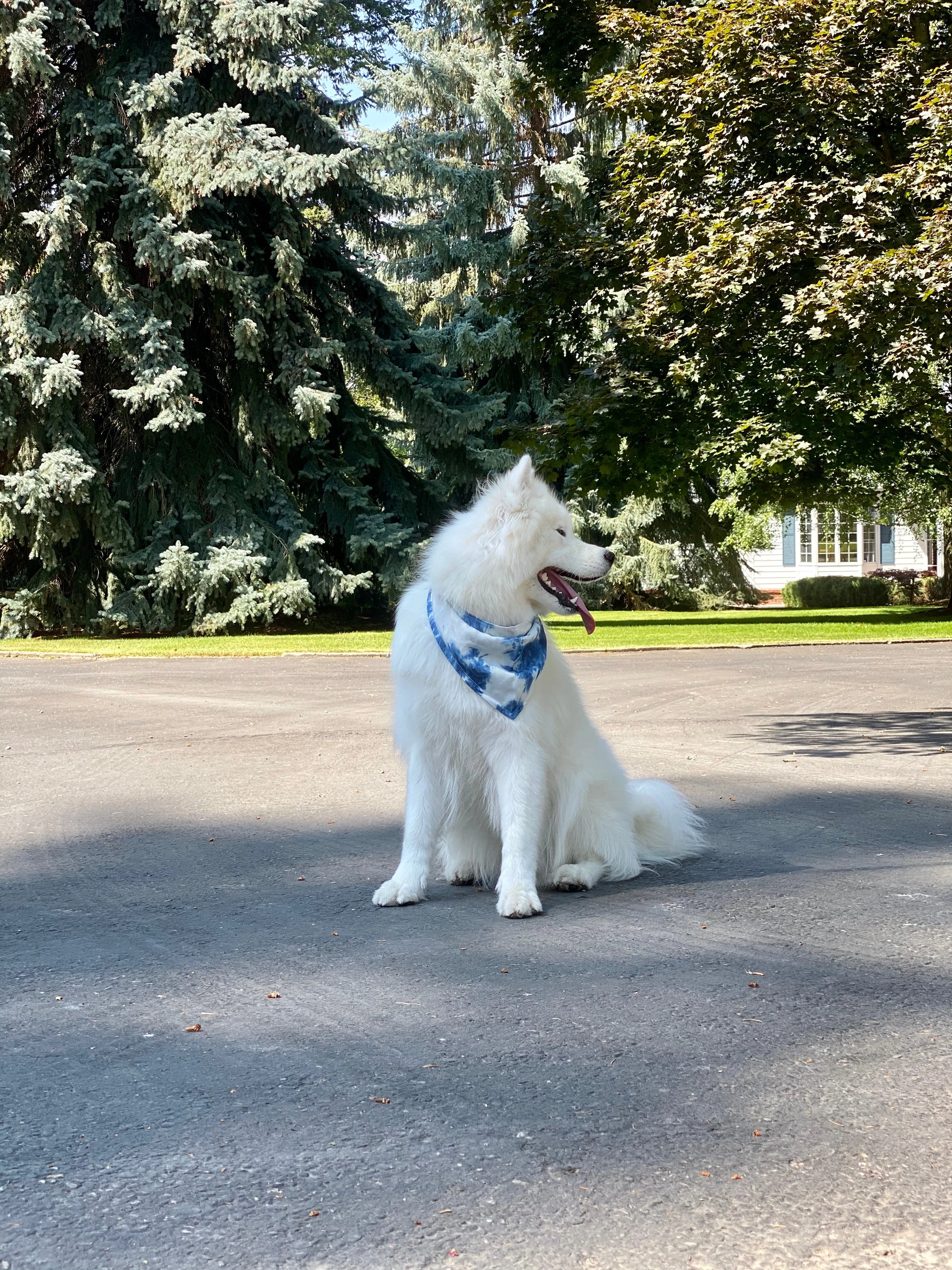 Wipe Your Blues Away Bandana