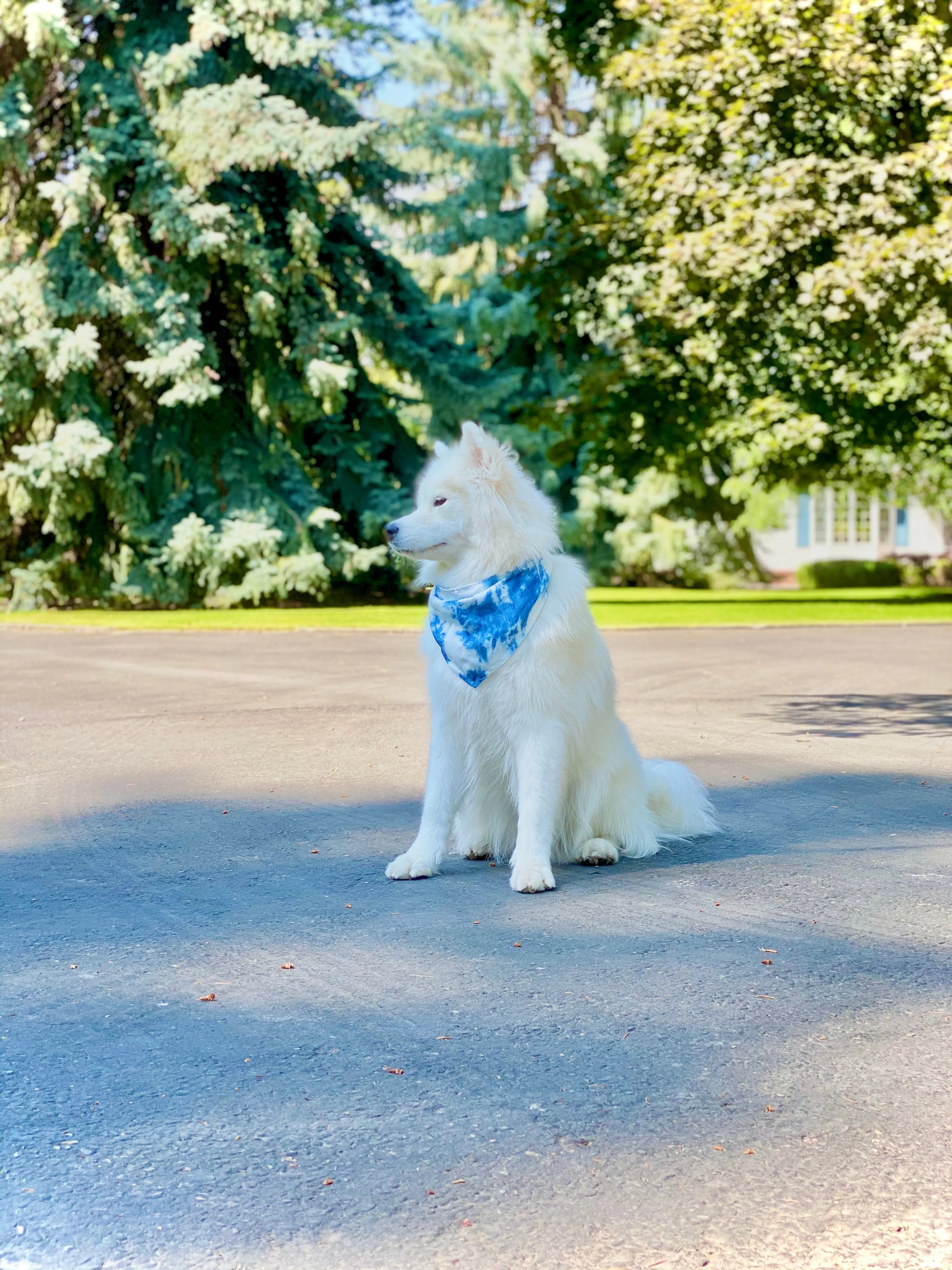 Wipe Your Blues Away Bandana